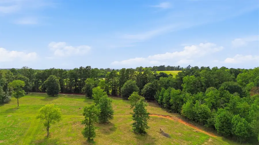 115355 & 115353 County Road 2501, Alto, TX 75925 - #3