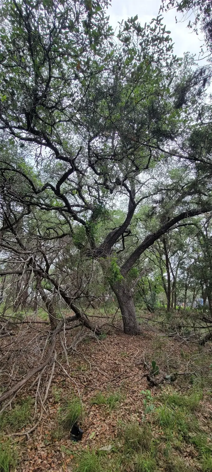 1391 Covered Wagon, Spring Branch, TX 78070 - Image #3