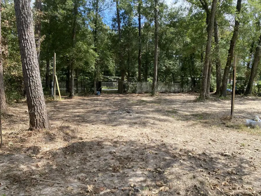 19626 Forest Dr W Drive, New Caney, TX 77357 - #3