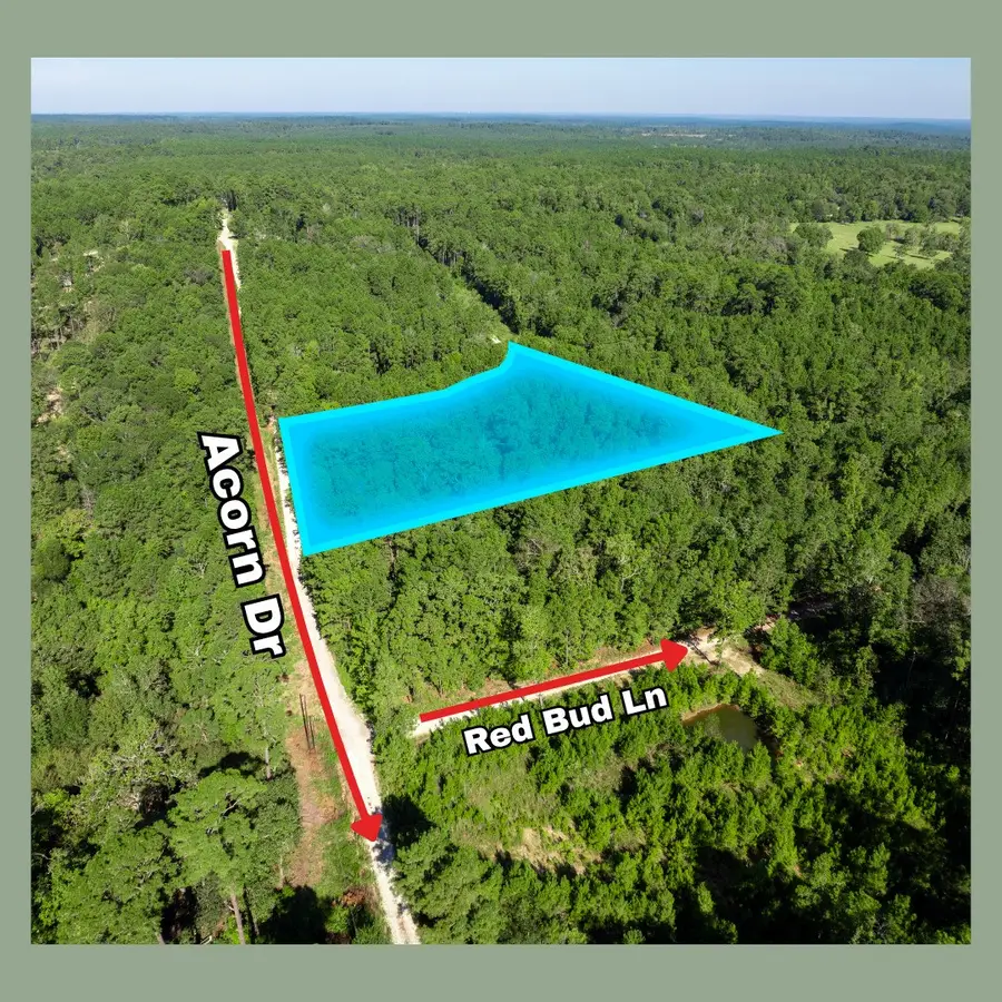 00 Sweetgum Lane, Oakhurst, TX 77359 - #2