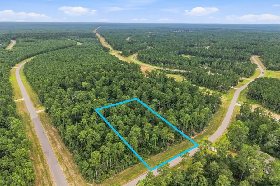 15890 Four Hills Road, Willis, TX 77378 - #2