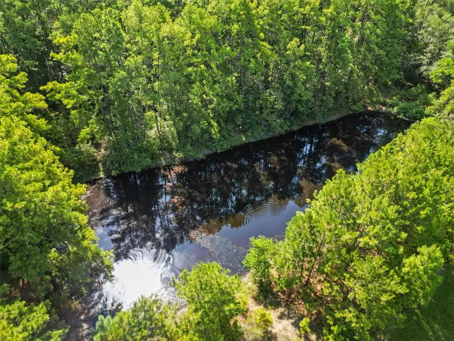 00 Forest Service Road 201, Shepherd Evergreen, TX 77328 - Image #3
