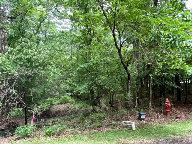 59 S Pine Harbour Drive, Coldspring, TX 77331 - #1