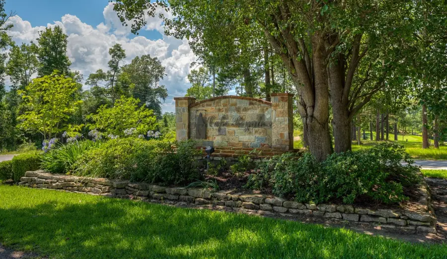 59 S Pine Harbour Drive, Coldspring, TX 77331 - #3