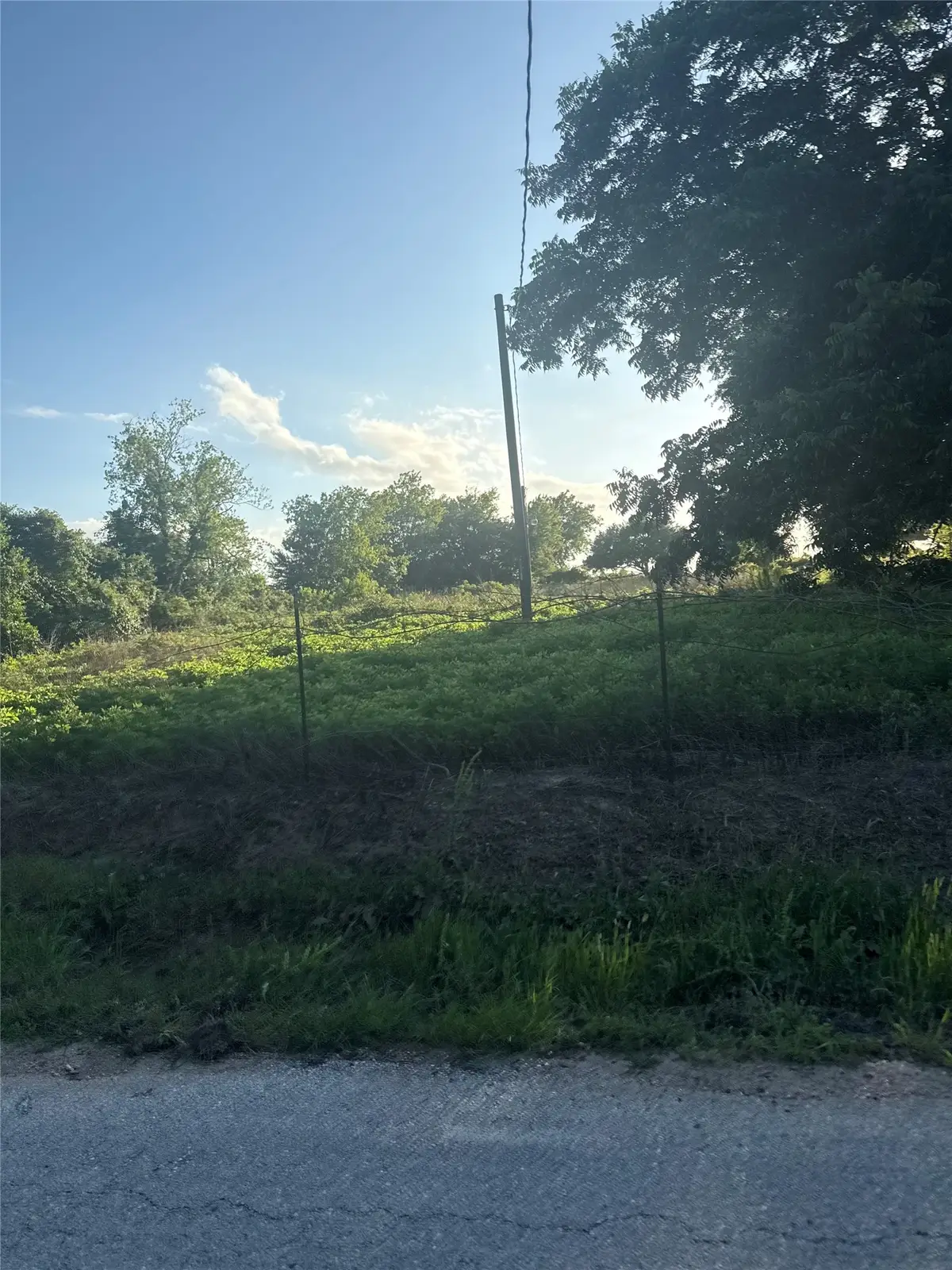 7642 Dixon Road, Fulshear, TX 77441 - #1