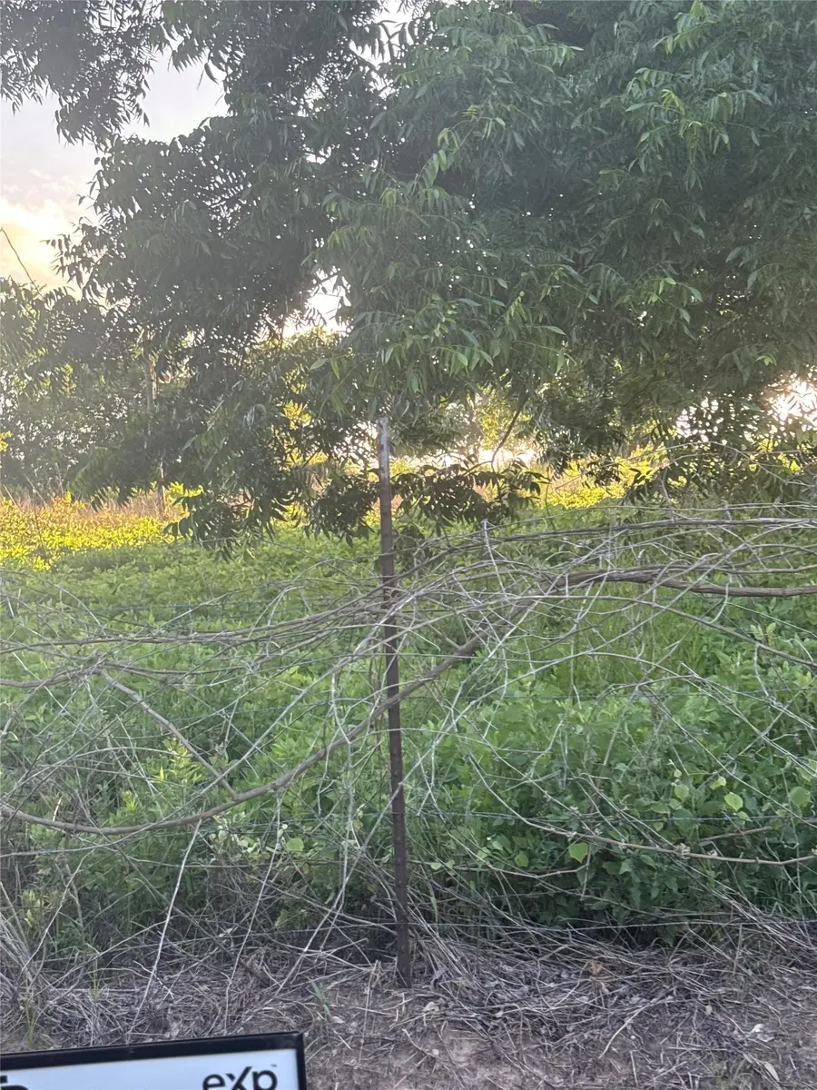 7642 Dixon Road, Fulshear, TX 77441 - #2