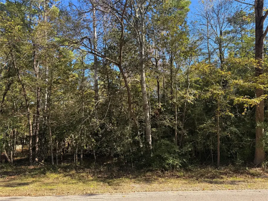 58 N Fairway Loop, Coldspring, TX 77331 - Image #3