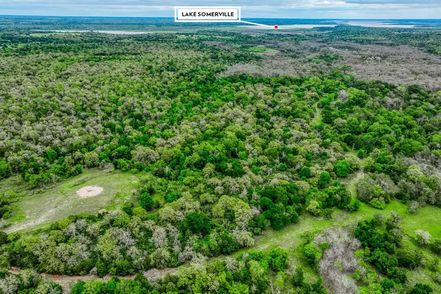 TBD (349.84 Acres) County Road 125, Ledbetter, TX 78946 - Image #2