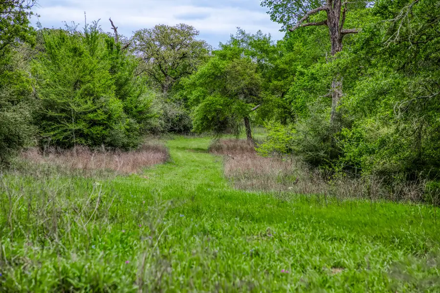 TBD (349.84 Acres) County Road 125, Ledbetter, TX 78946 - Image #3