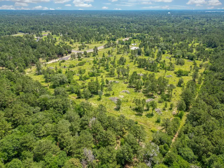 31839 Boone Road, Waller, TX 77484 - Image #3