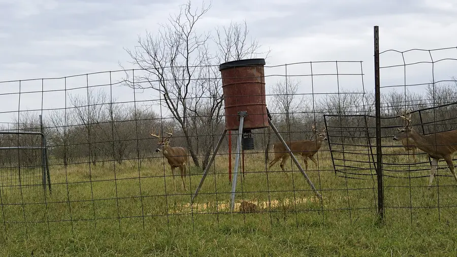 851 Cr 450, De Leon, TX 76444 - #2