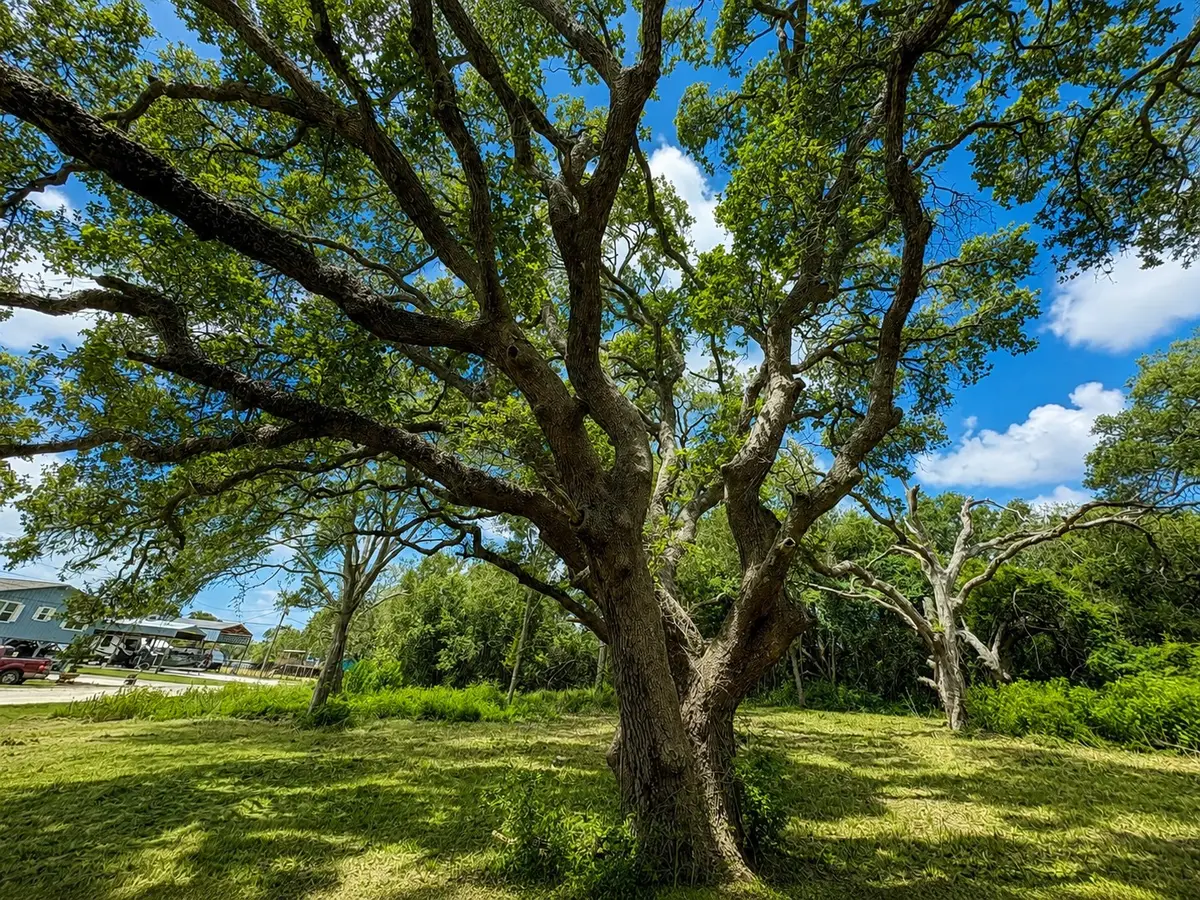0 Riverside Drive, Palacios, TX 77465 - #1