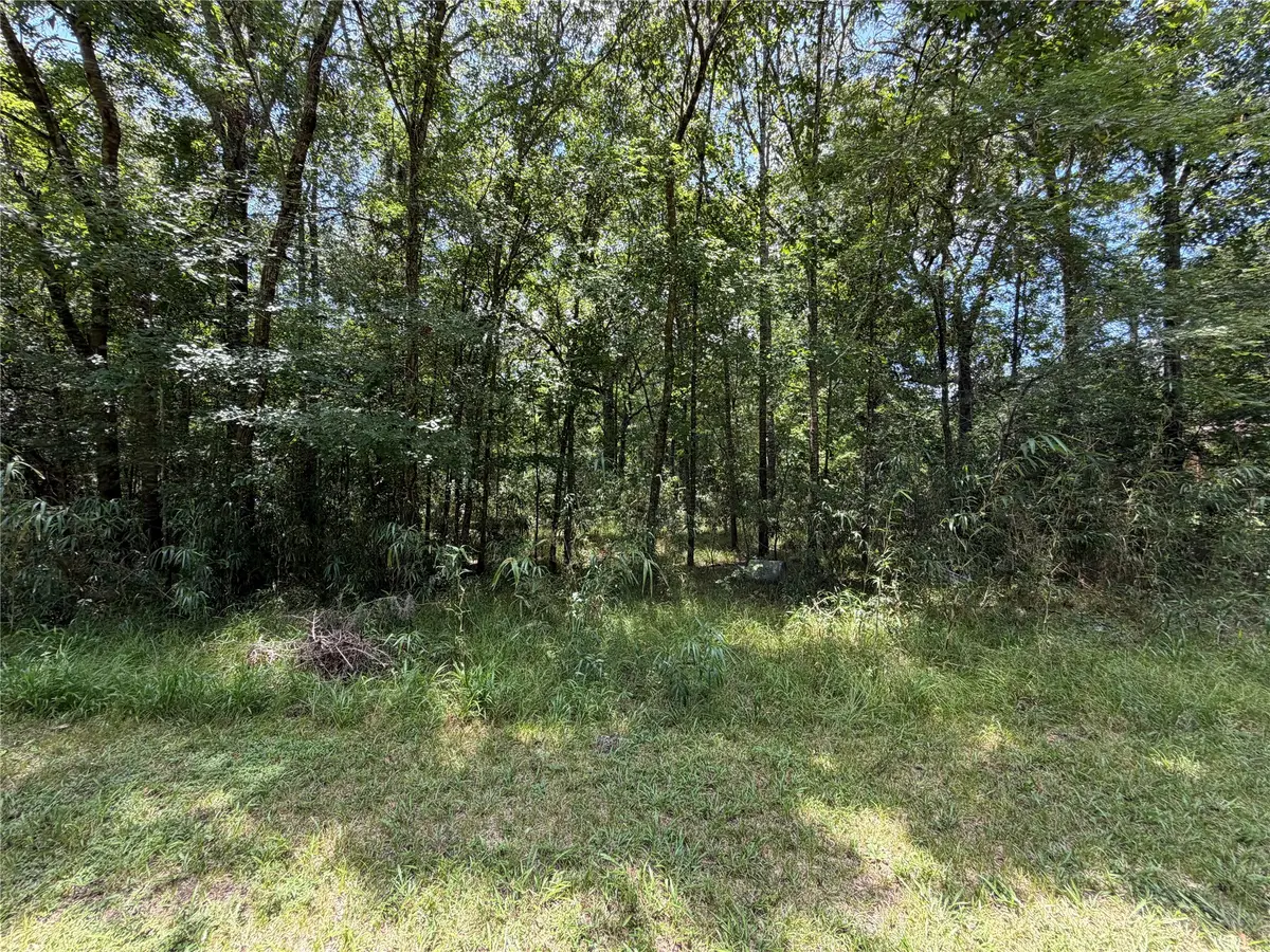 Lot 119 Miller Drive, Cleveland, TX 77327 - #1