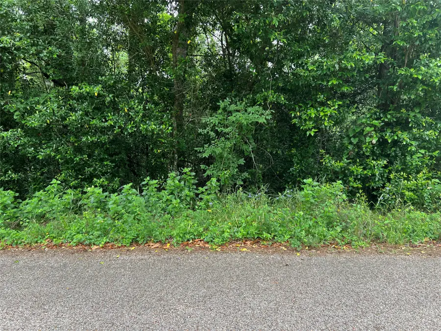 00 Rollingwood Loop, Conroe, TX 77303 - #3