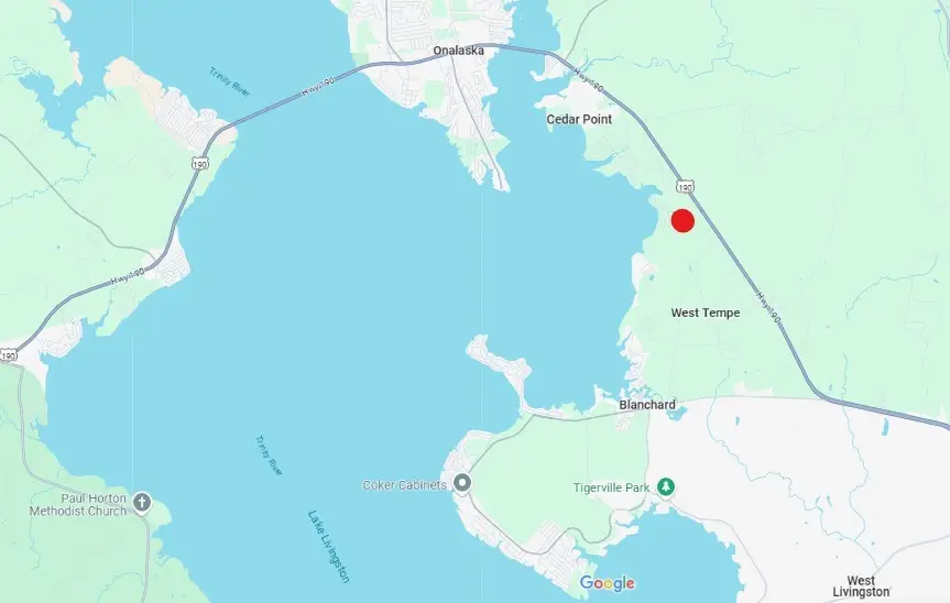 TBD Gray Fox, Livingston, TX 77351 - #1