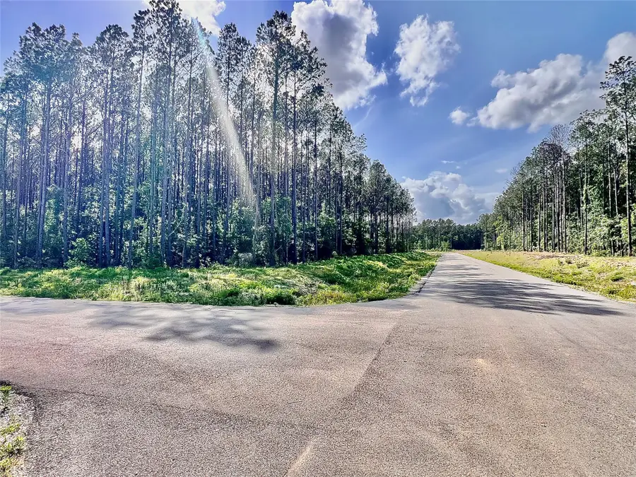 4261 Road 66126, Dayton, TX 77535 - #2