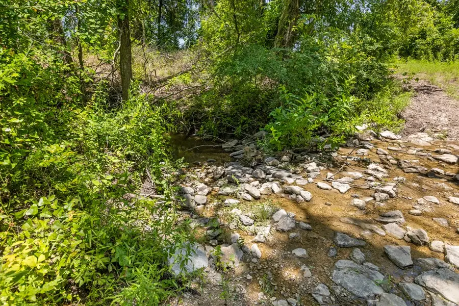 70 acres County Road 539, Hico, TX 76457 - Image #3