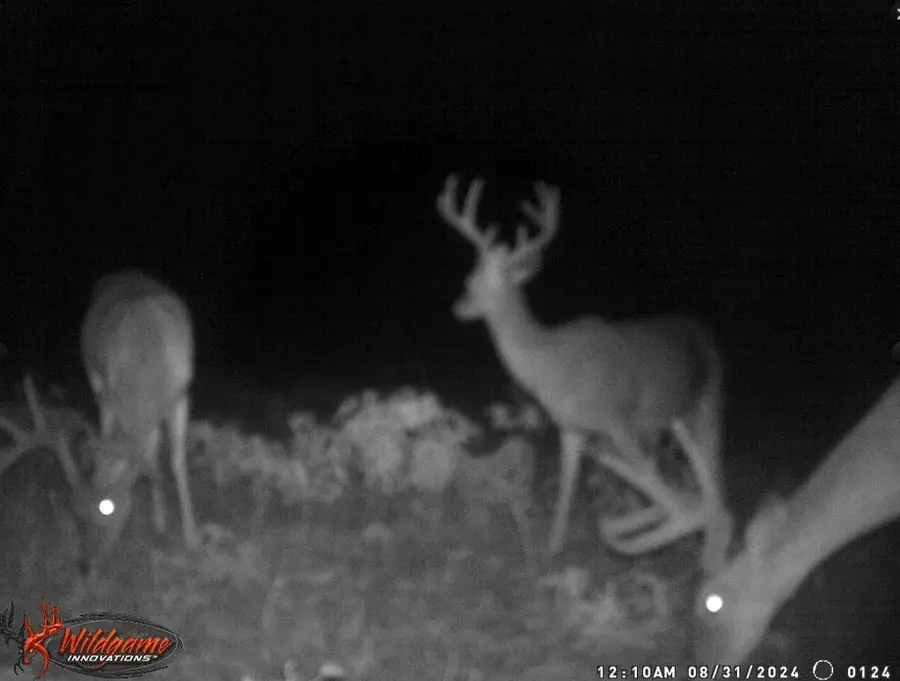 TBD Big Valley Circle, Lipan, TX 76087 - Image #3