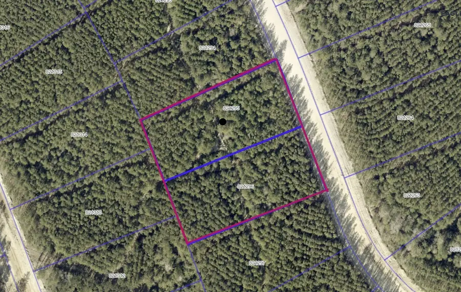 15555 Intrepid Lane, Willis, TX 77378 - Image #2