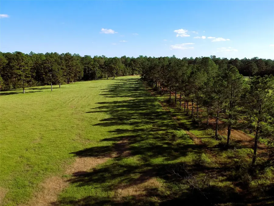Lot 18 E Lakeland Court, Hillister, TX 77624 - #3