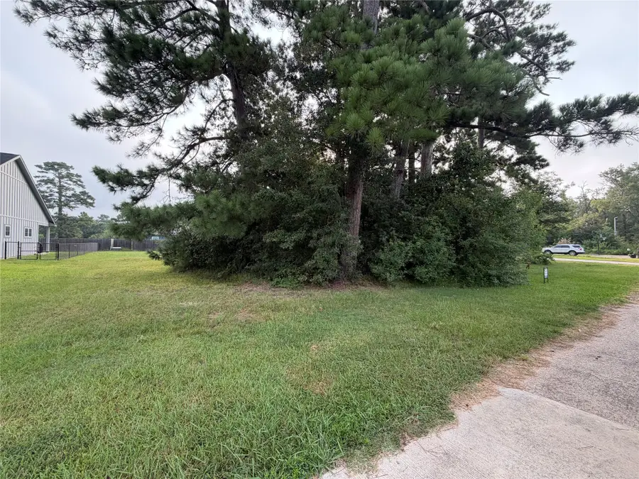 149 Bending Oaks Lane, Livingston, TX 77351 - #3