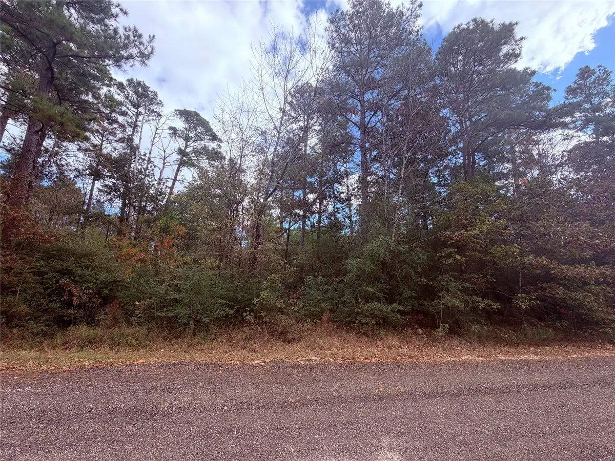 160 Nina Trail, Trinity, TX 75862 - Image #1