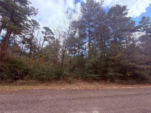 160 Nina Trail, Trinity, TX 75862