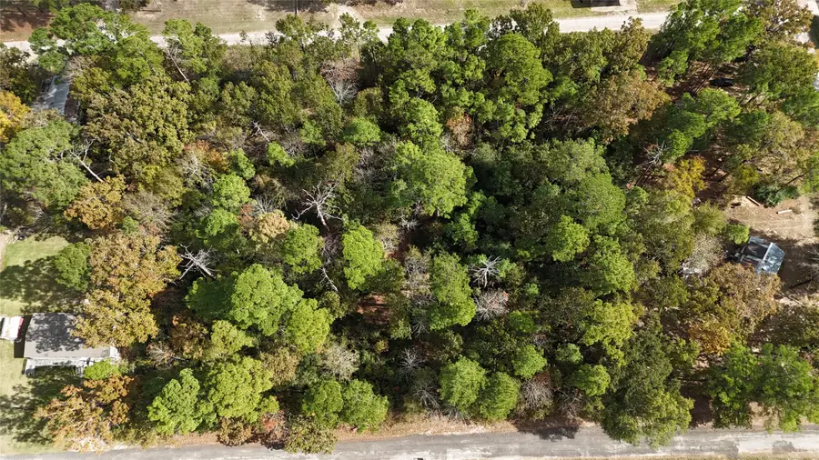 160 Nina Trail, Trinity, TX 75862 - Image #2