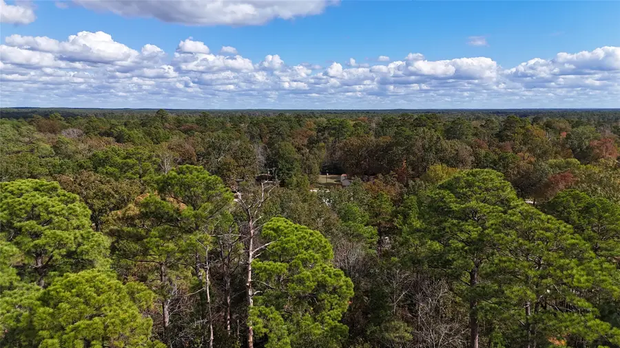 160 Nina Trail, Trinity, TX 75862 - Image #3