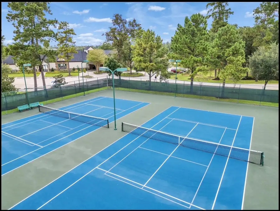 27414 Shady Hills Landing Ln, Spring, TX 77386 - #3
