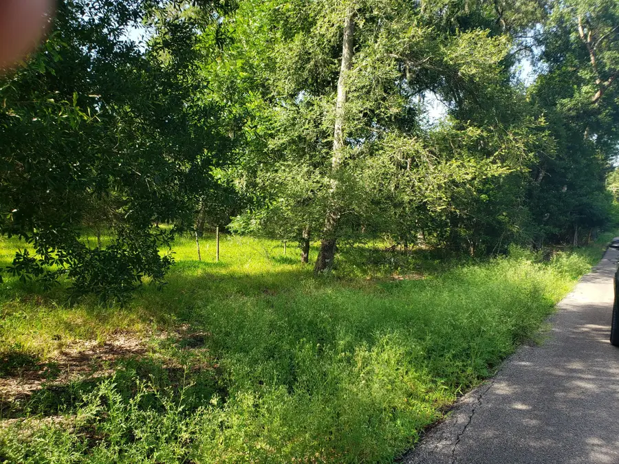 20921 Levee Road Road, Guy, TX 77444 - #2