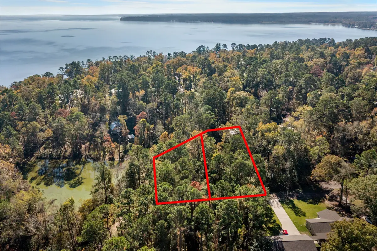 0 Lakeview Drive, Point Blank, TX 77364 - Image #1