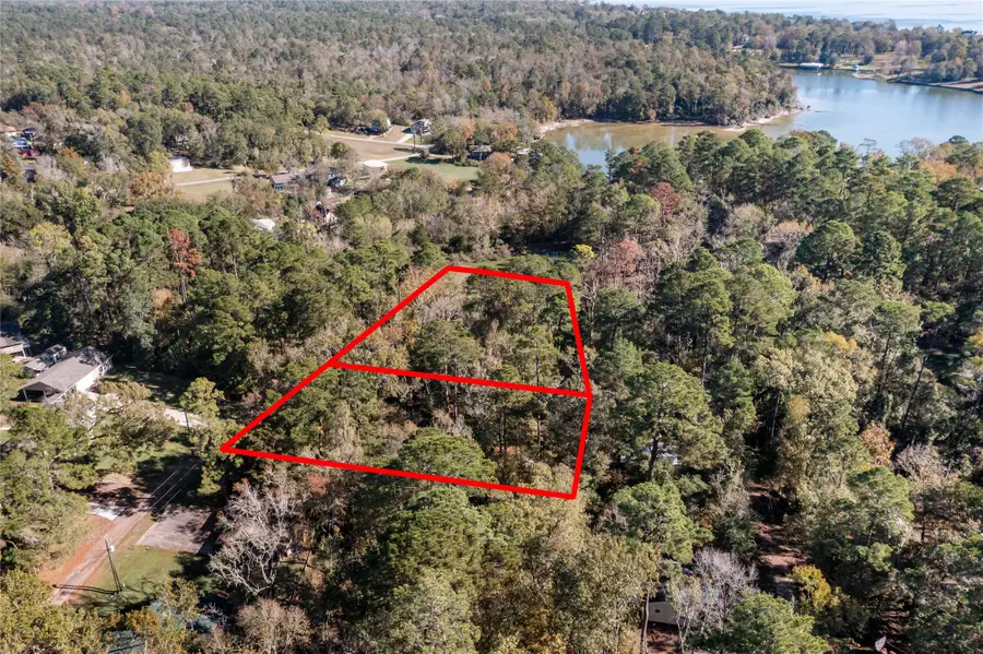 0 Lakeview Drive, Point Blank, TX 77364 - Image #3