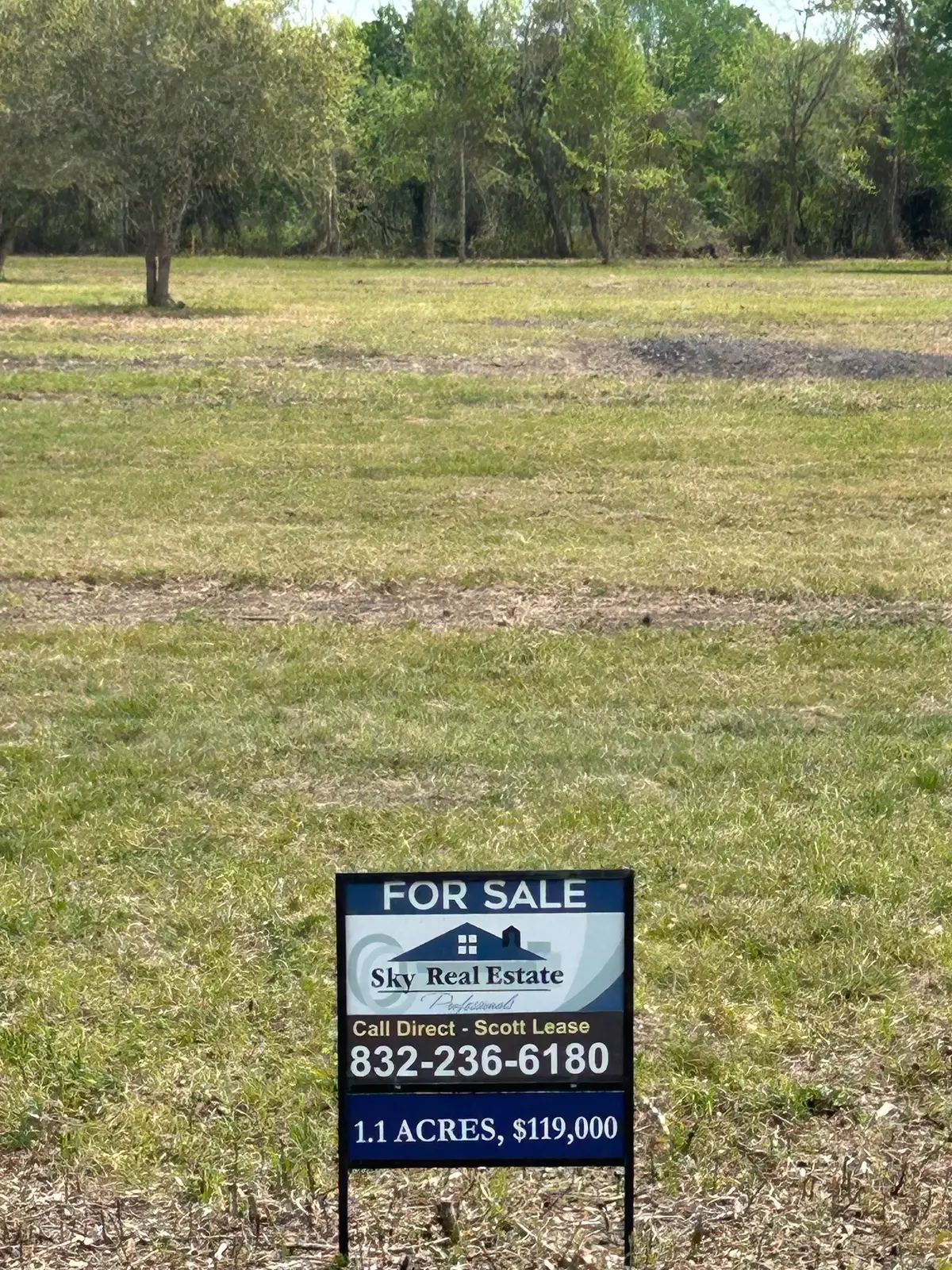 000 Saddle Drive, Pleak, TX 77461 - #1