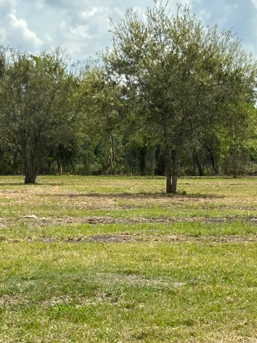 000 Saddle Drive, Pleak, TX 77461 - #2