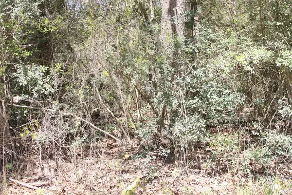 0 Knotty Pine Lane, Huntsville, TX 77340