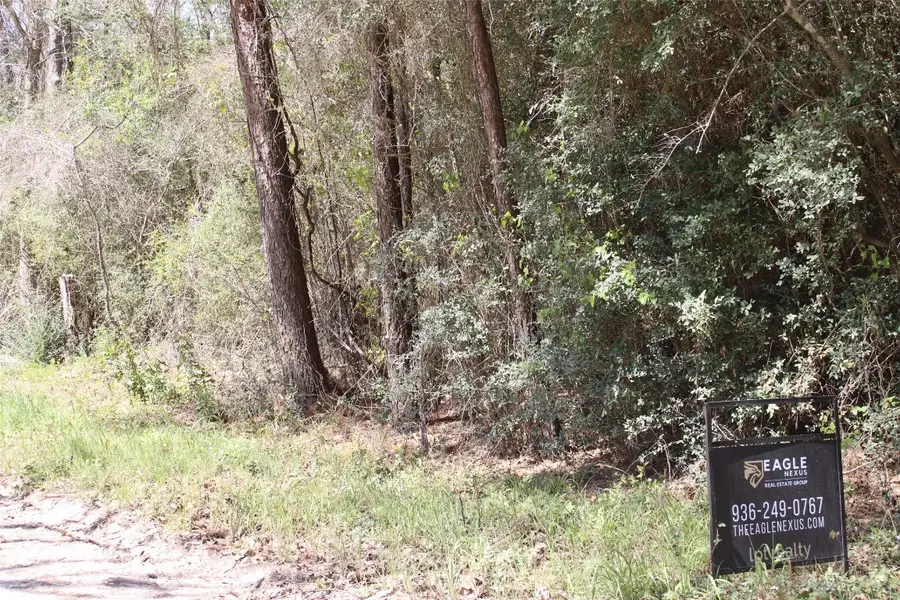 0 Knotty Pine Lane, Huntsville, TX 77340 - #2