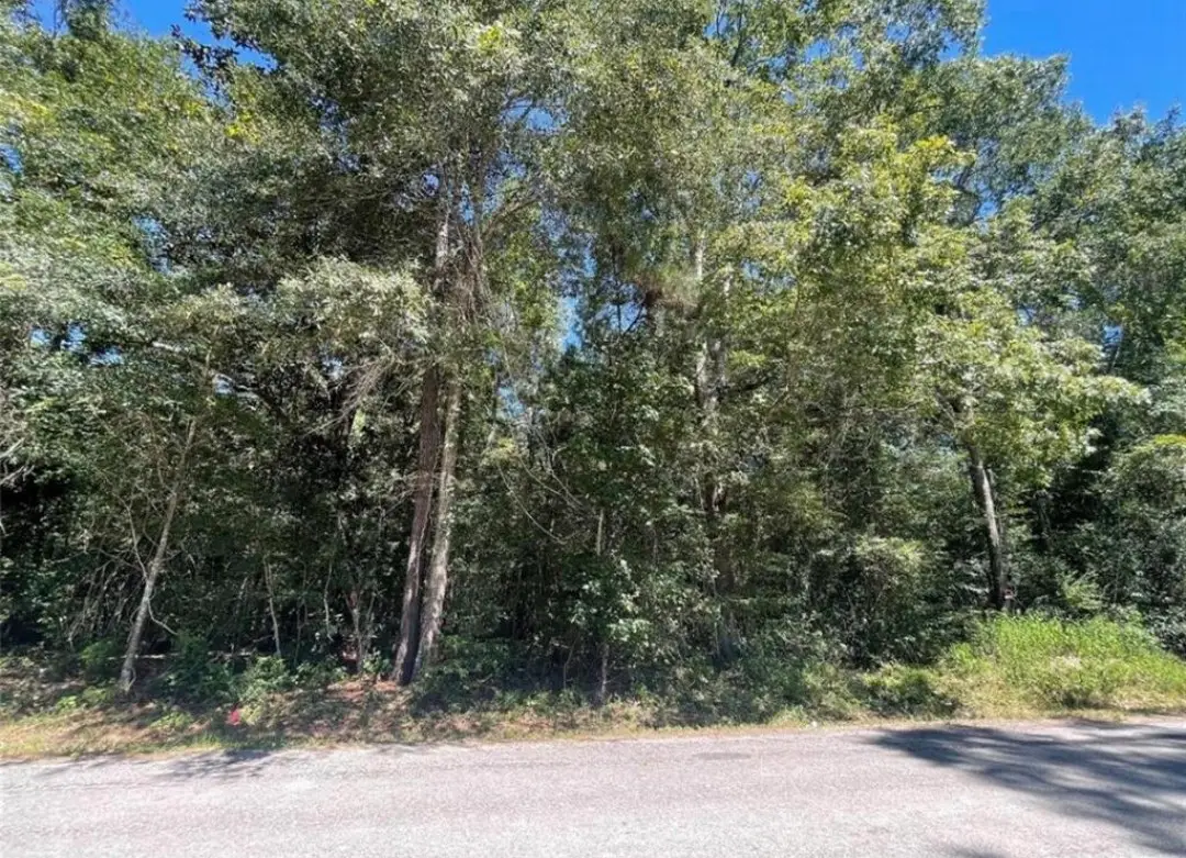 000 County Road 3669, Splendora, TX 77372 - #1
