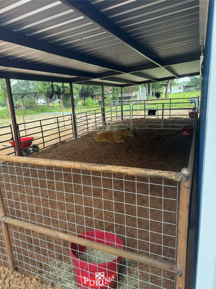 24954 Bailey Grove Road, Montgomery, TX 77356 - Image #3