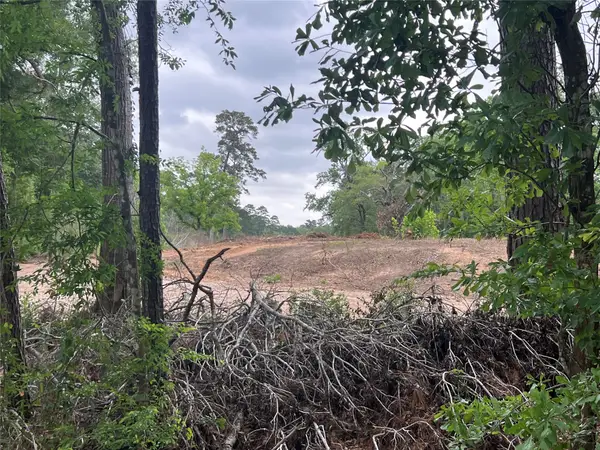 48 Robert E Lee Drive, Conroe, TX 77302