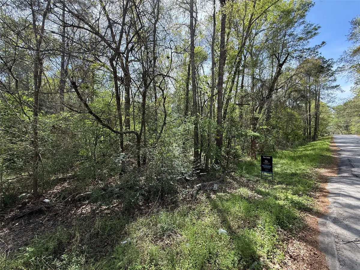 TBD Walker Drive, Conroe, TX 77303 - #1