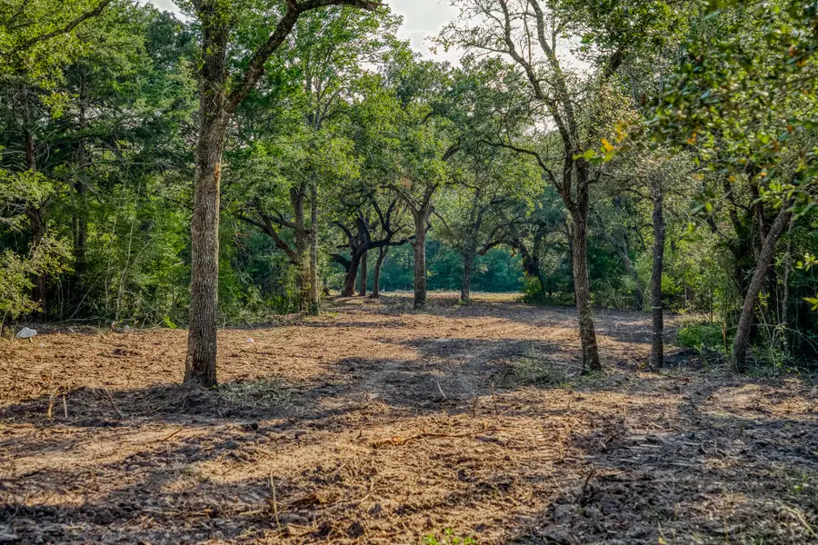 Tract 4 Sun Oil Road, Brenham, TX 77833 - Image #3