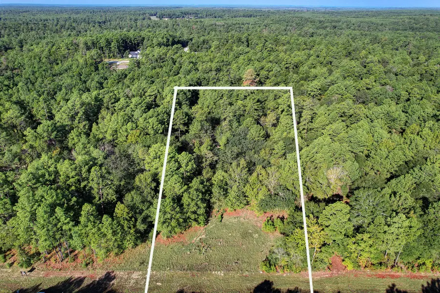 189 Rim Rock Road, Huntsville, TX 77340 - #3