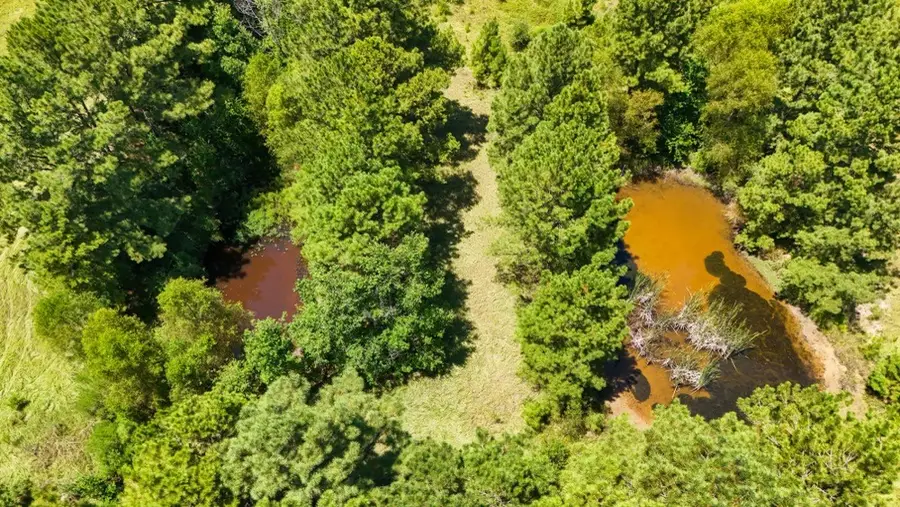 405 County Road 3000, Woodville, TX 75979 - #3