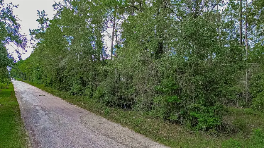 TBD Fostoria Tram Road, Cleveland, TX 77328 - #2