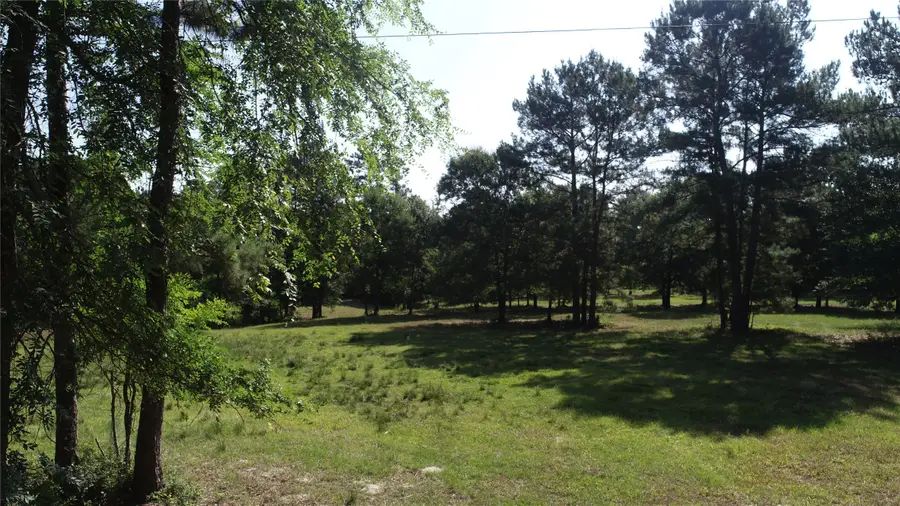 10642 County Road 446, Navasota, TX 77868 - #3