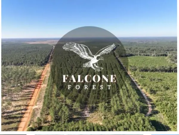 0 Richardson Road E, Livingston, TX 77351