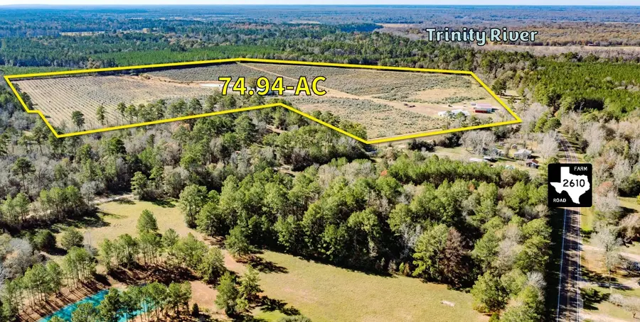 1201 Fm 2610, Livingston, TX 77351 - #2