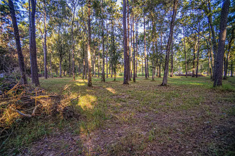1319 County Road 3434 S, Cleveland, TX 77327 - #3