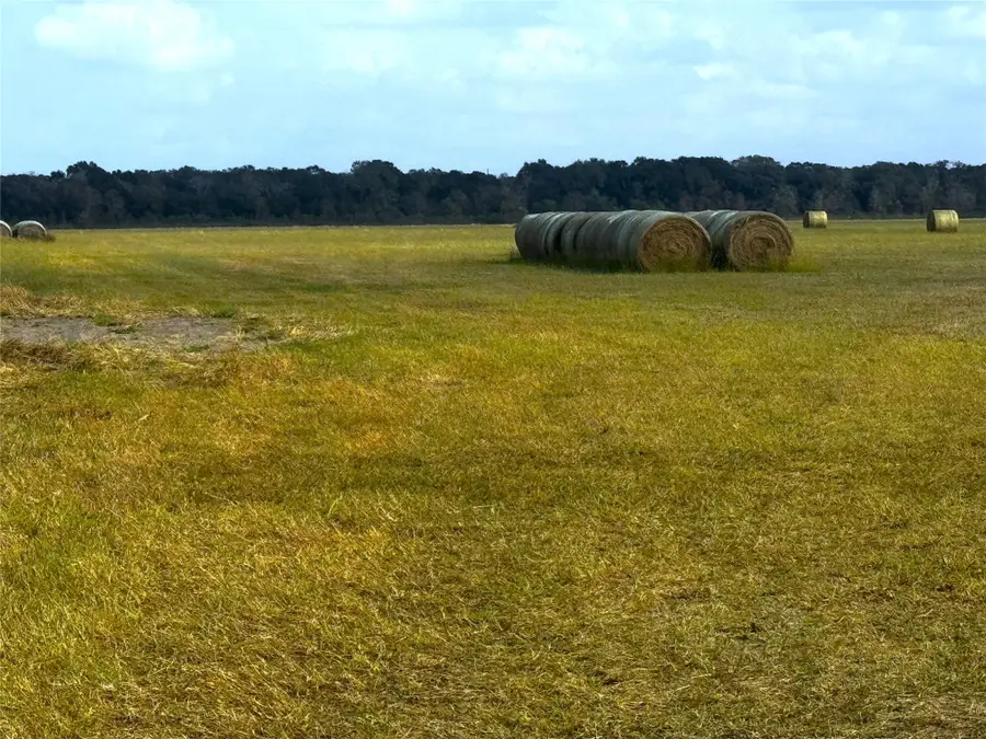 TBD County Road 321, Louise, TX 77455 - Image #3